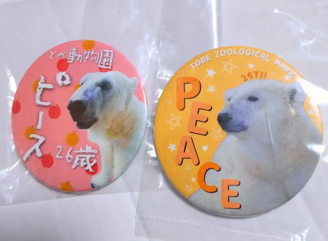 2026年最新】シロクマ ピース とべ動物園の人気アイテム - メルカリ