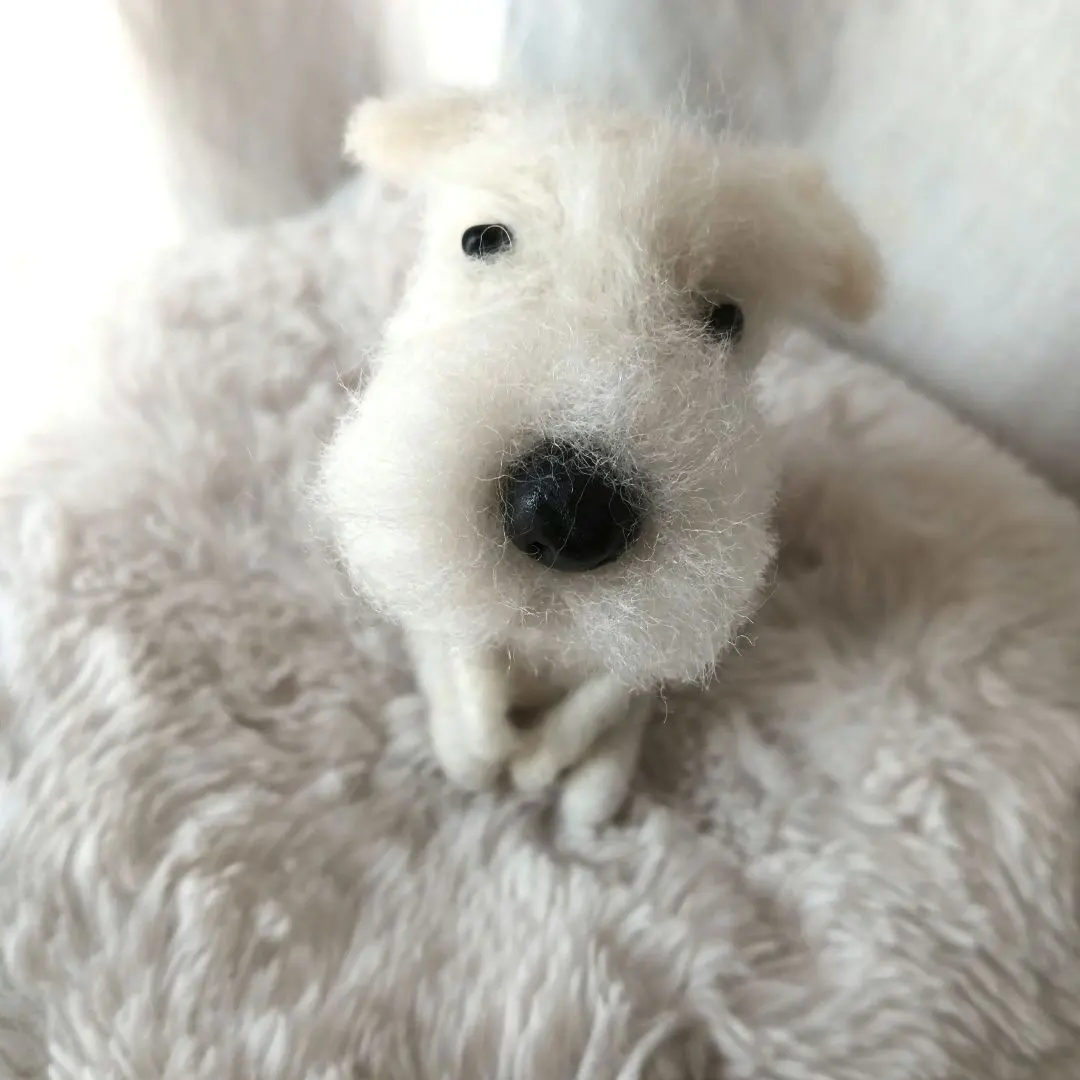 2026年最新】#ぬぼっとまったりお顔のシュナウザーの人気アイテム