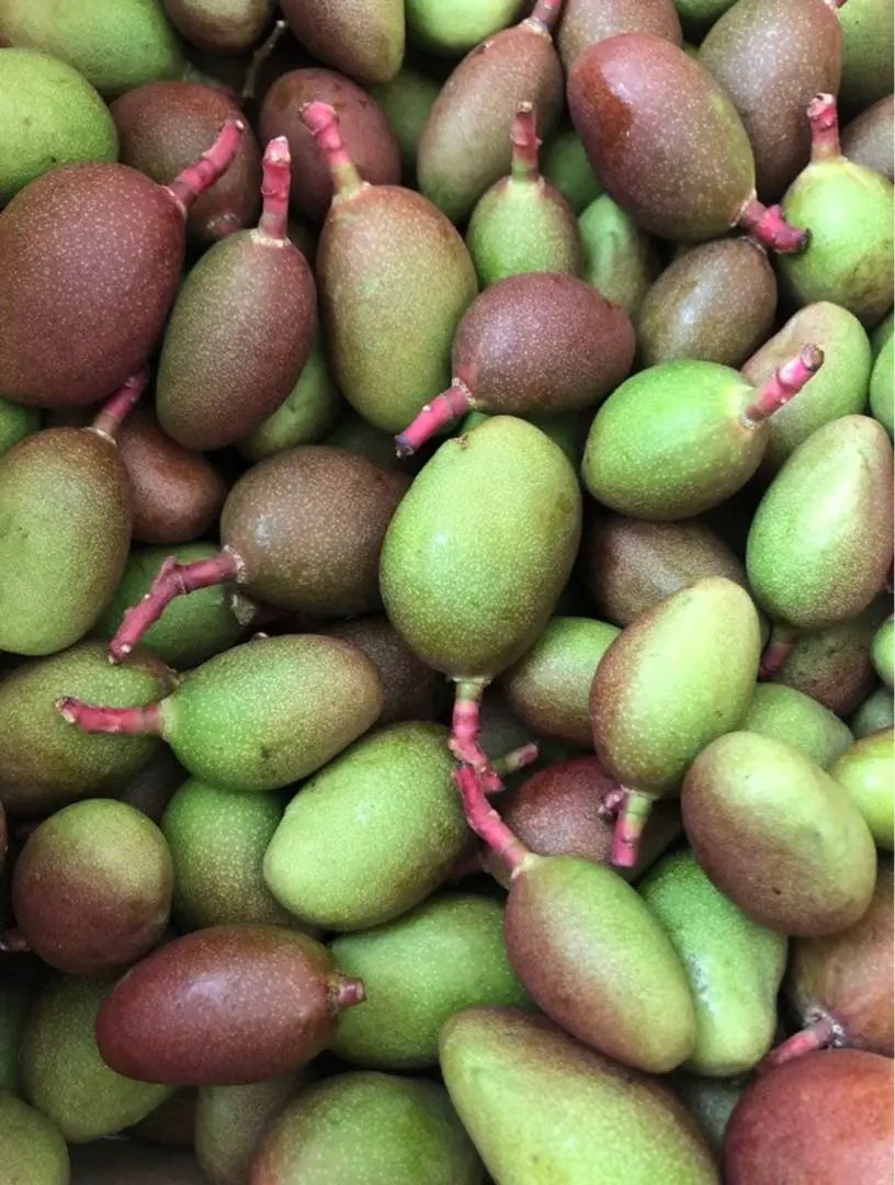 2026年最新】摘果マンゴーの人気アイテム - メルカリ