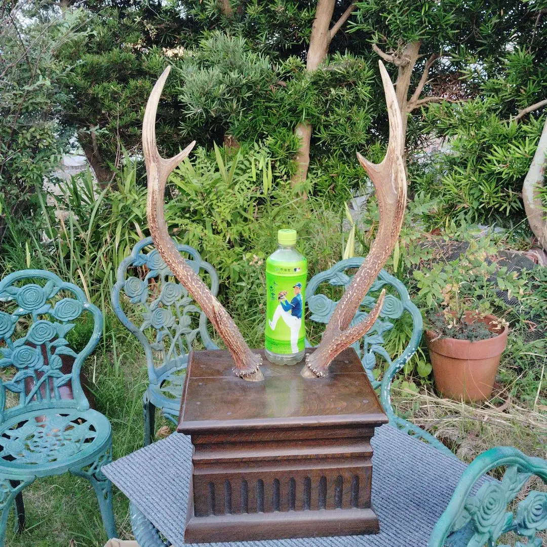 2026年最新】鹿角刀掛けの人気アイテム - メルカリ