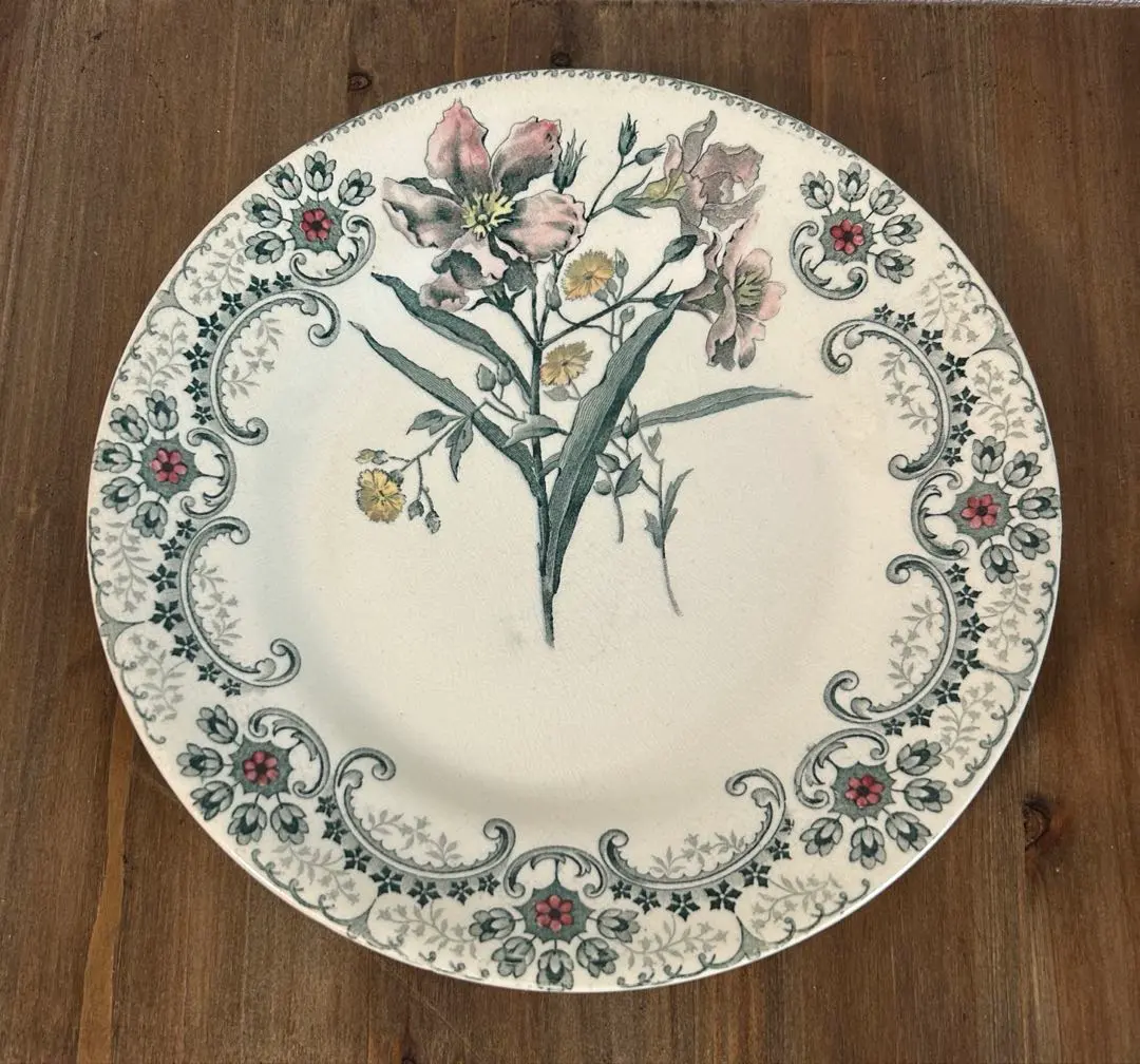 2026年最新】ショワジールロワ 切り花の人気アイテム - メルカリ