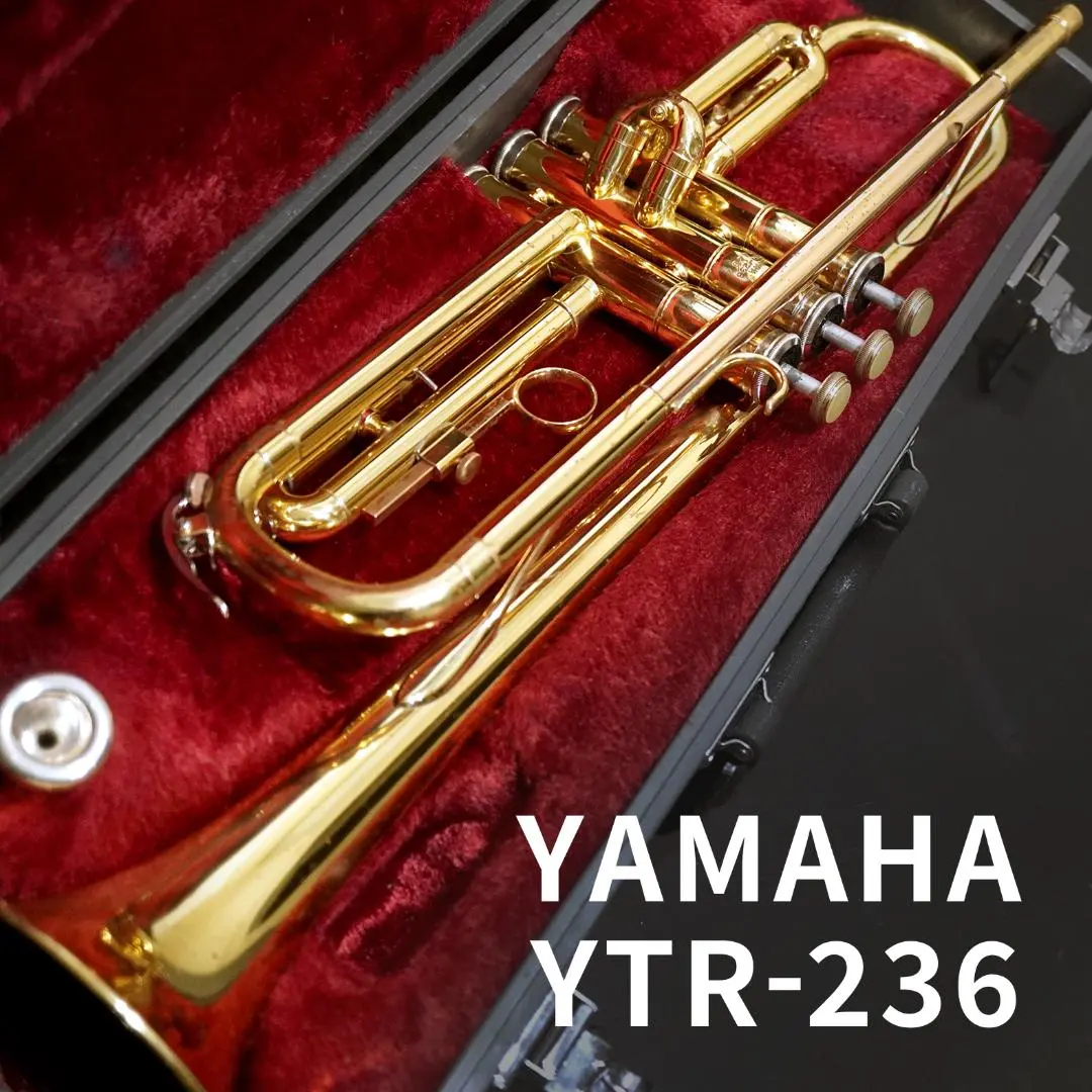2026年最新】ytr-236の人気アイテム - メルカリ
