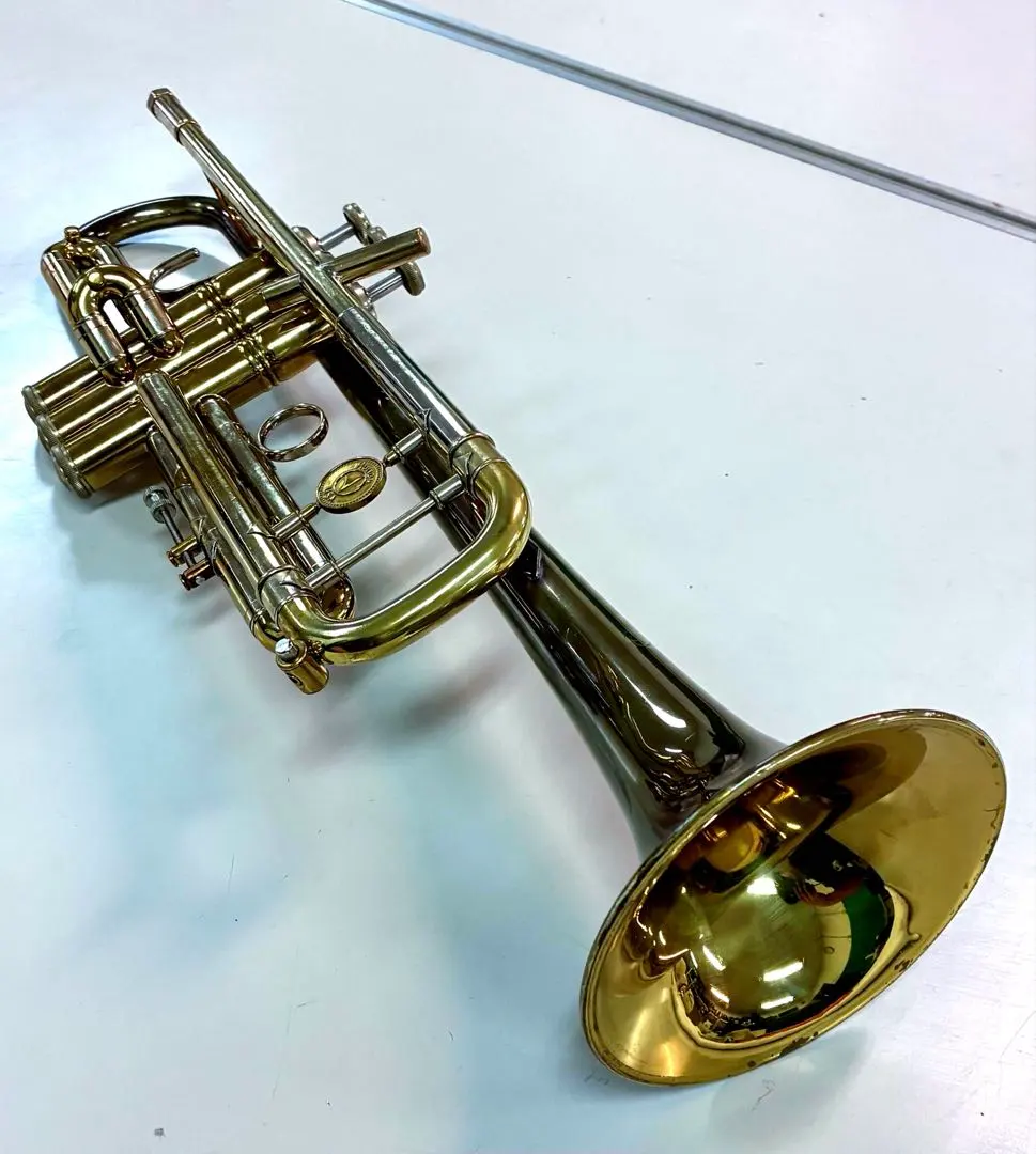 2026年最新】holton T101の人気アイテム - メルカリ