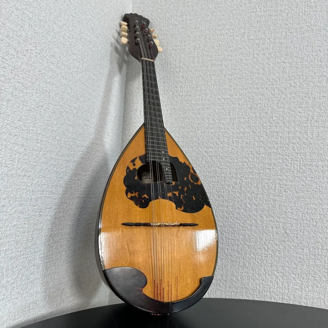 2026年最新】渡辺 マンドリンの人気アイテム - メルカリ