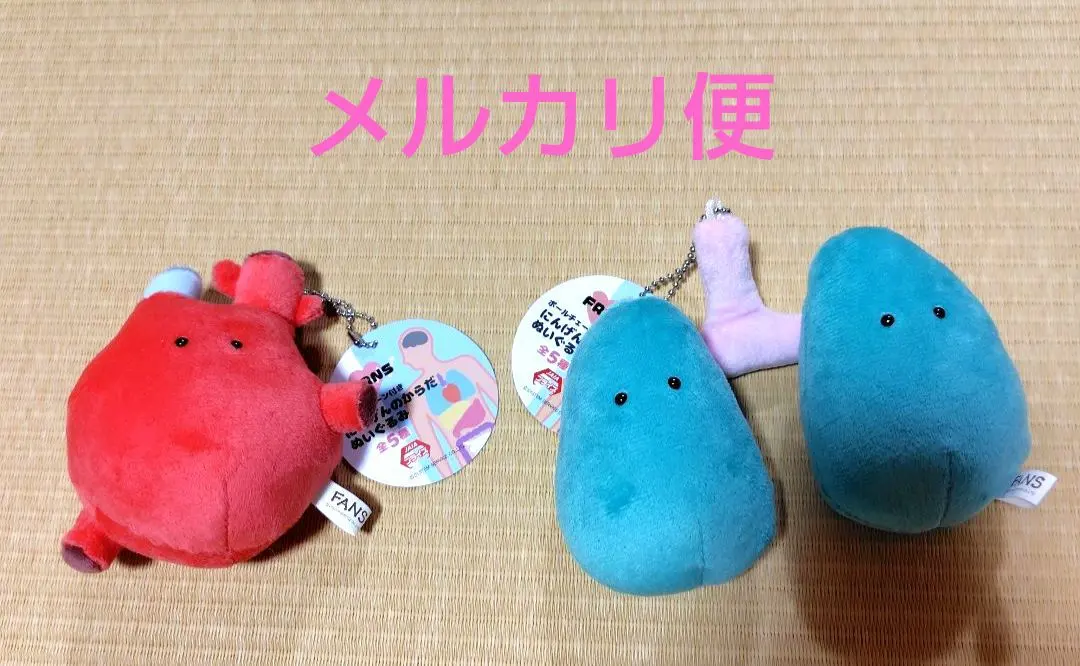 2026年最新】FANS にんげんのからだマスコットの人気アイテム - メルカリ