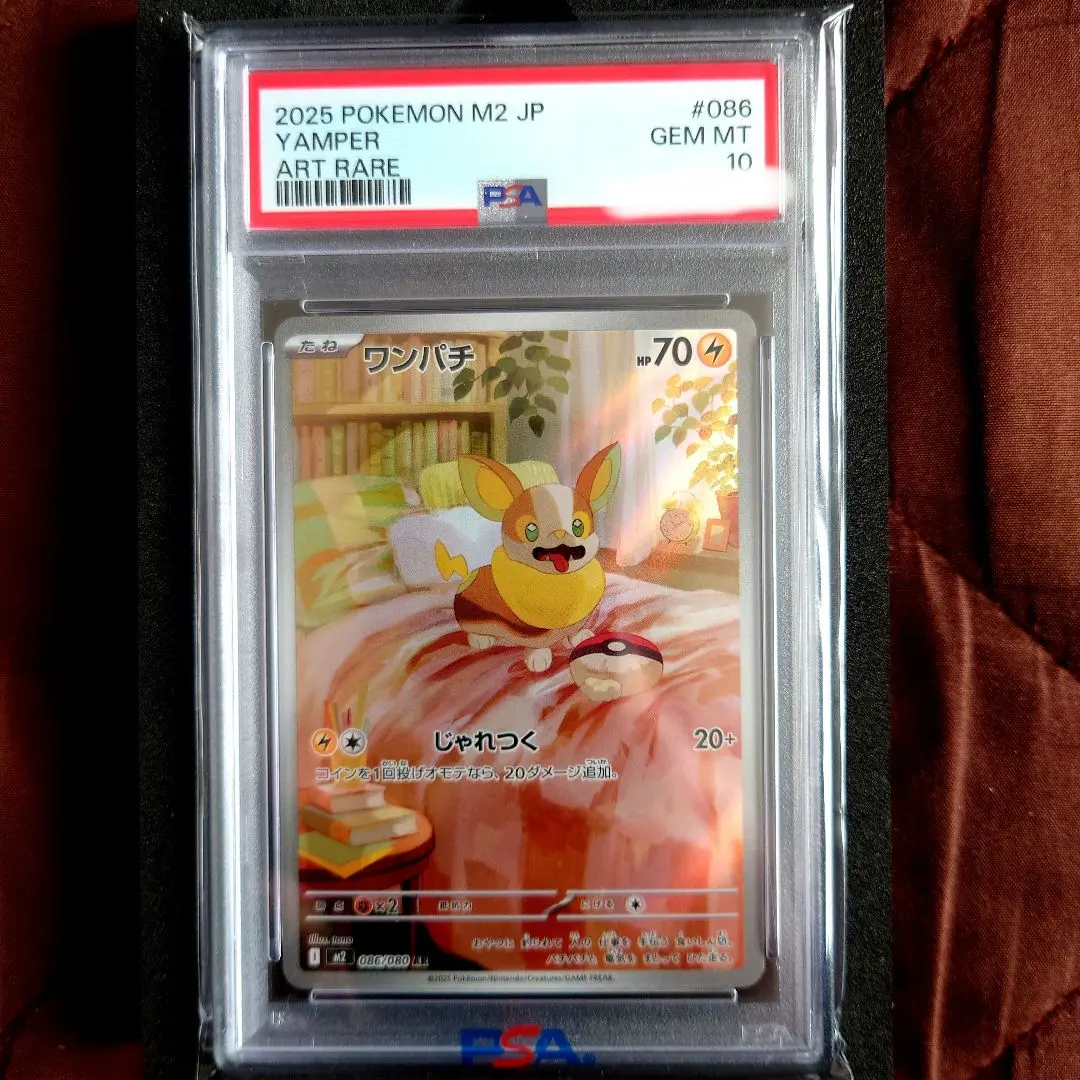 2026年最新】psa10 わんぱちの人気アイテム - メルカリ