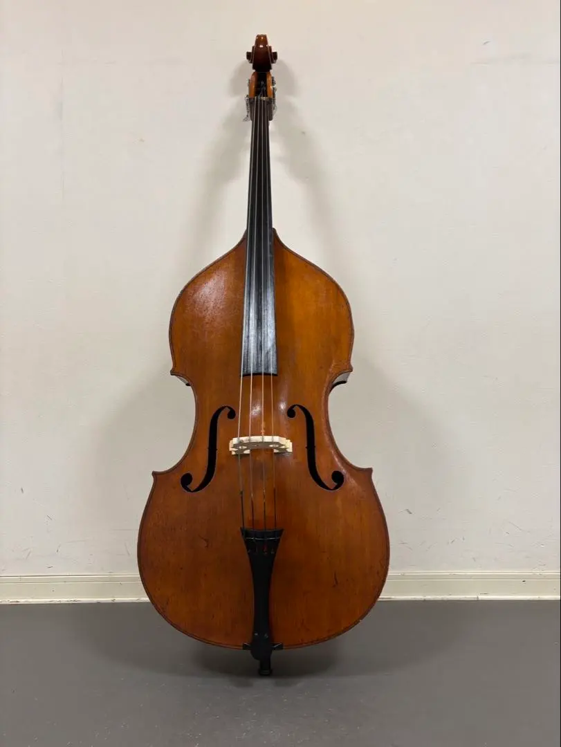 2026年最新】スズキ コントラバスの人気アイテム - メルカリ