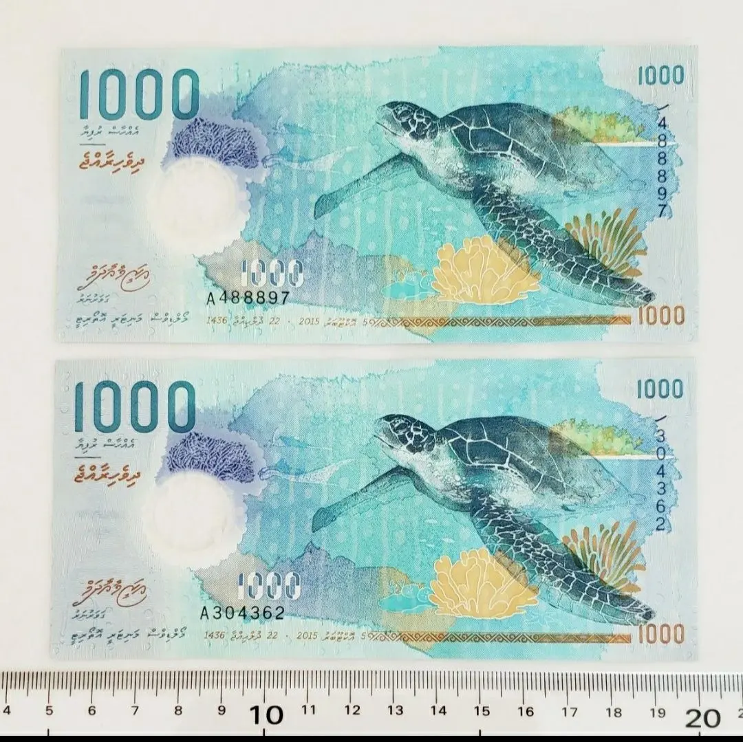 2026年最新】モルディブ紙幣の人気アイテム - メルカリ