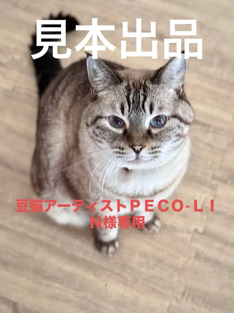 2026年最新】豆猫 peco-linの人気アイテム - メルカリ