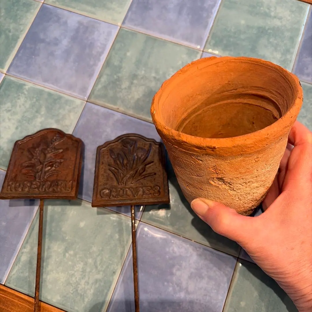 2026年最新】ワンダーデコール 鉢の人気アイテム - メルカリ