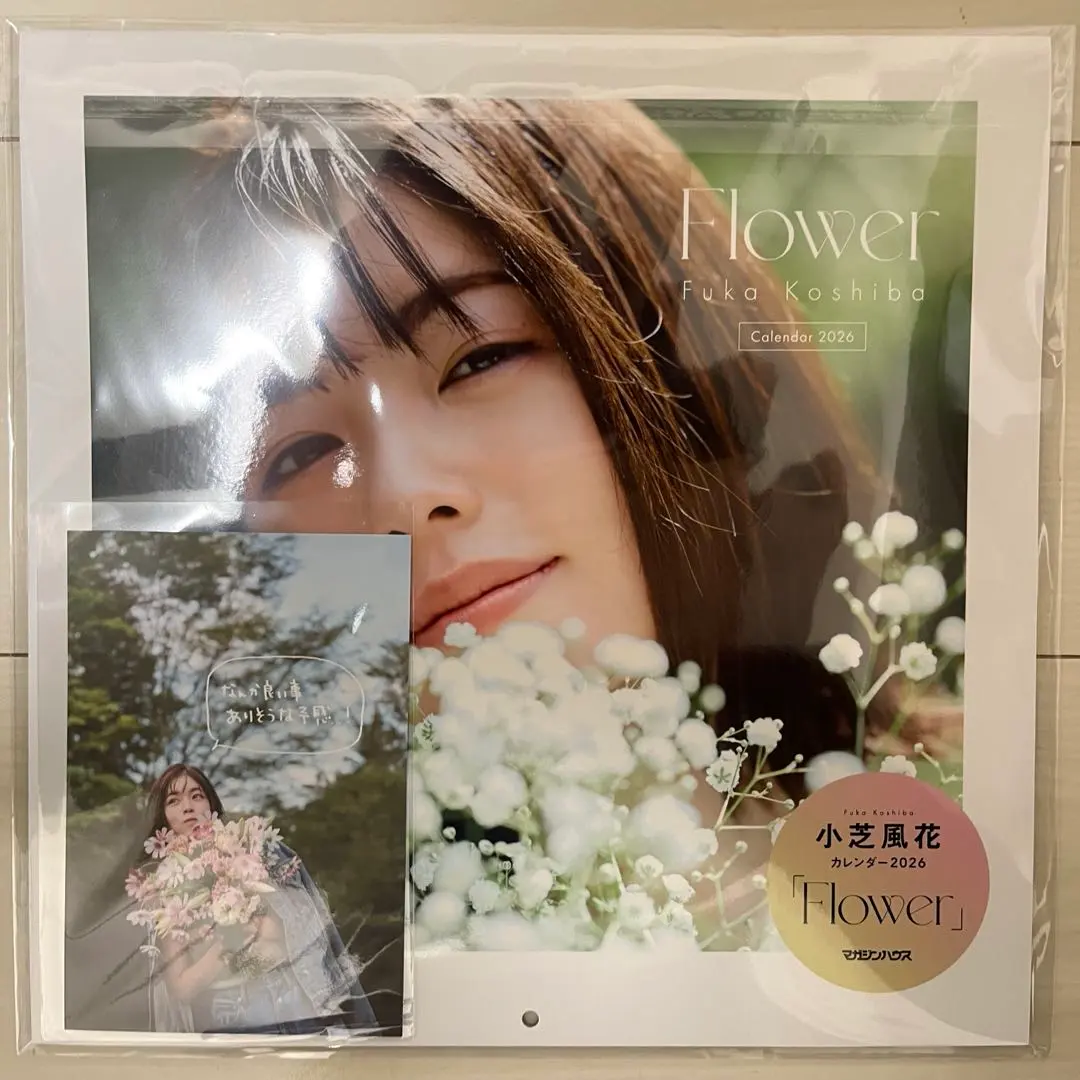 2026年最新】小芝風花 カードの人気アイテム - メルカリ