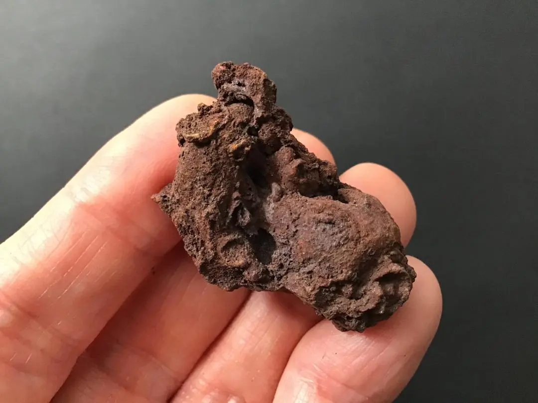 2026年最新】糞化石の人気アイテム - メルカリ