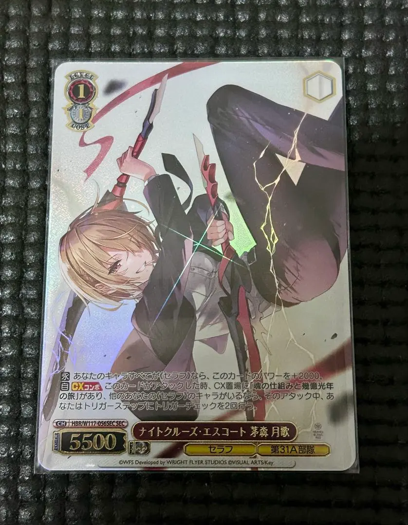 m73035476924_1.jpg?1761568269