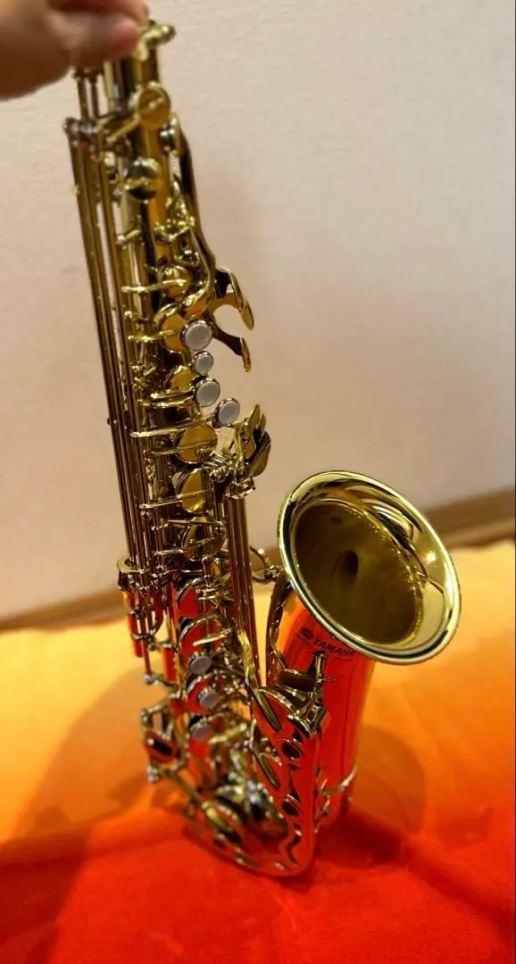 ソプラノサックスSelmer SeriesIII シルバープレート 49万番台|mercari