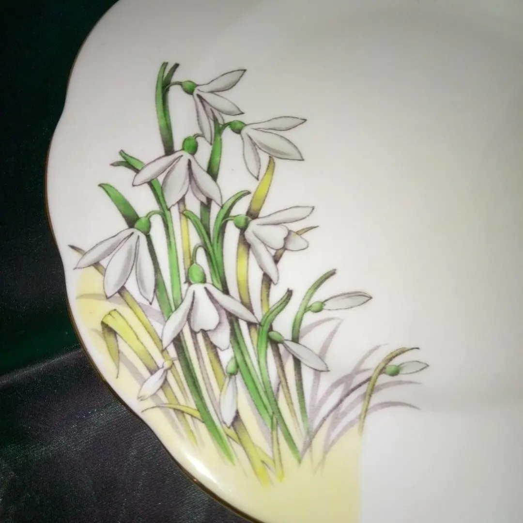 2026年最新】スノードロップ ロイヤルアルバートの人気アイテム - メルカリ