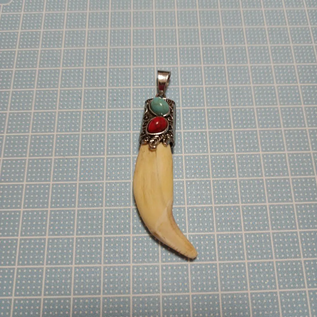 2026年最新】ツキノワグマの牙の人気アイテム - メルカリ