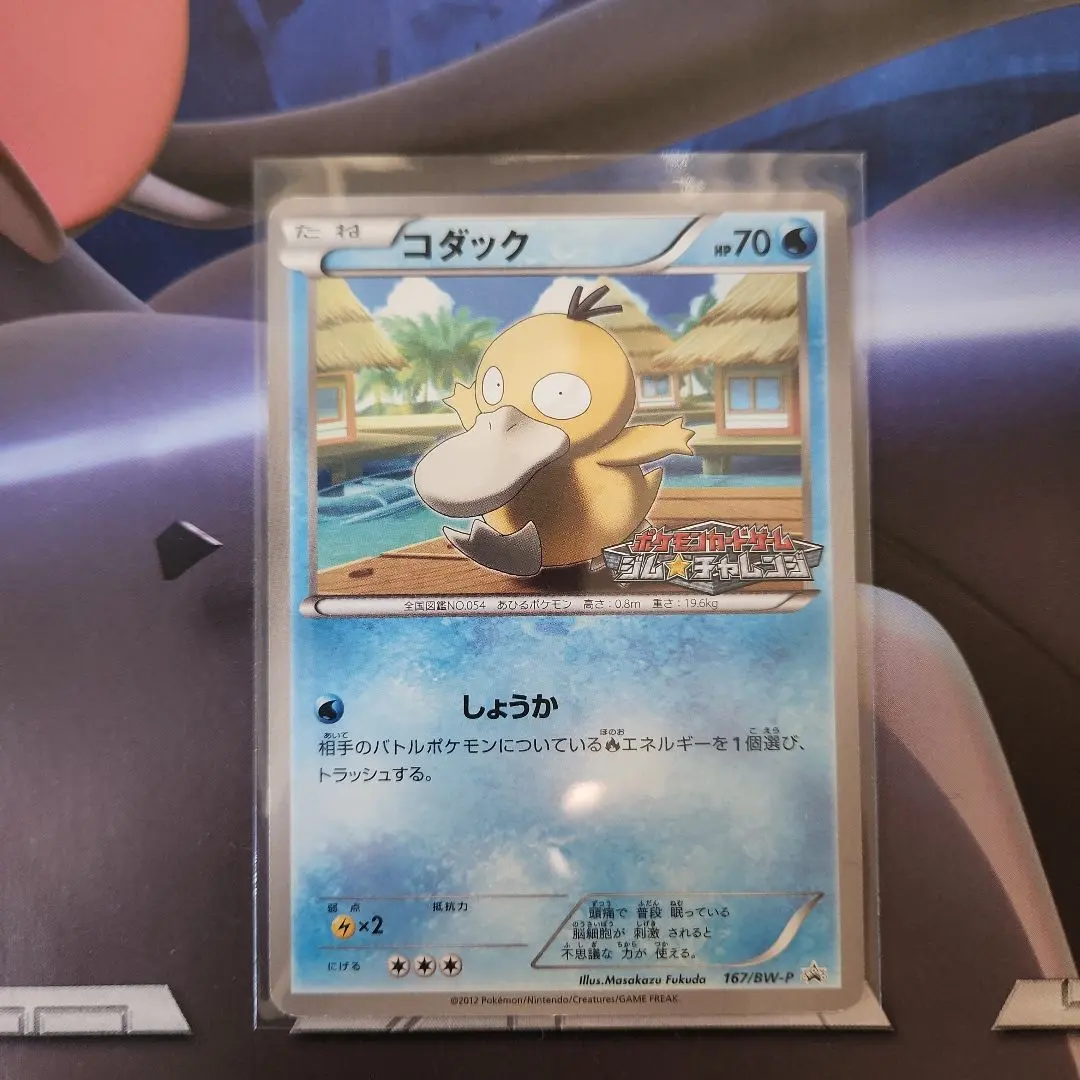 2026年最新】167/BW-P コダックの人気アイテム - メルカリ