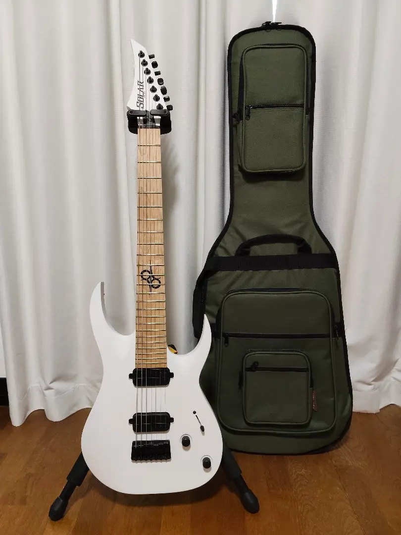 2026年最新】Solar guitarsの人気アイテム - メルカリ