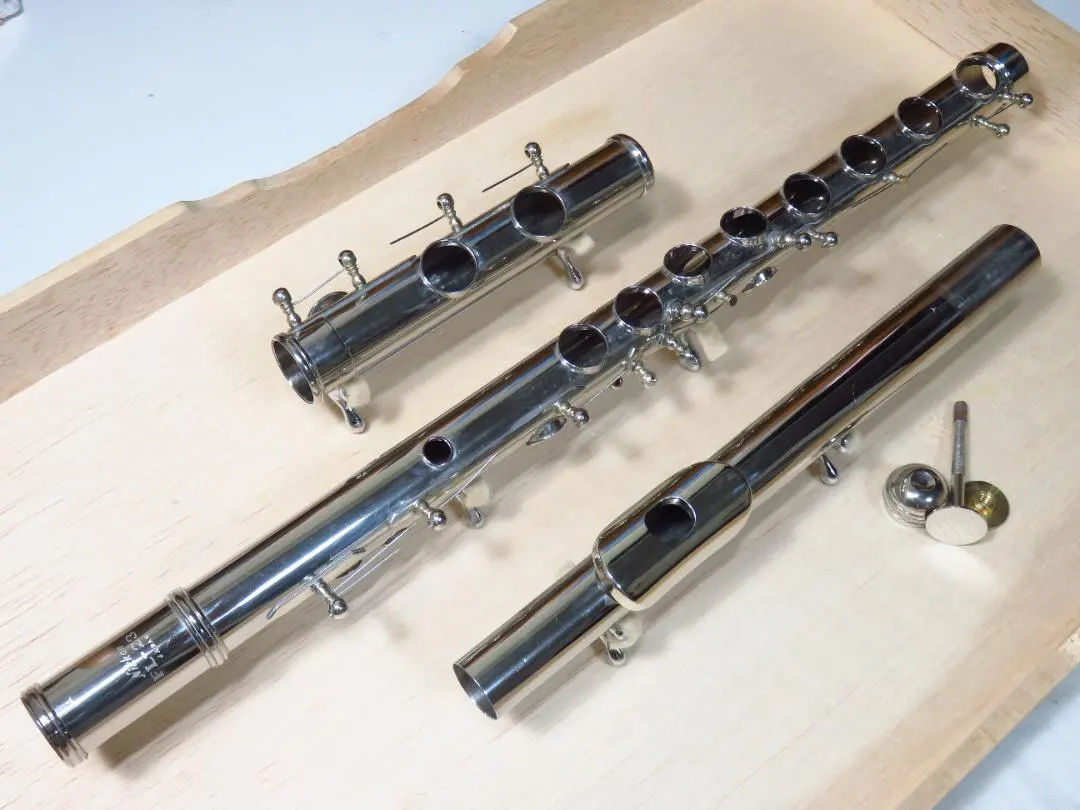 2026年最新】nikkan FL-23の人気アイテム - メルカリ