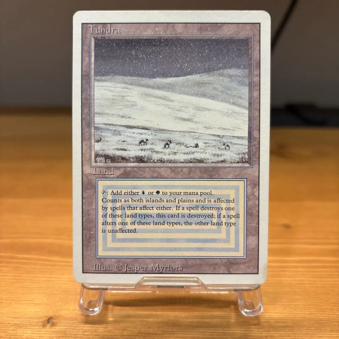 2026年最新】tundra mtgの人気アイテム - メルカリ