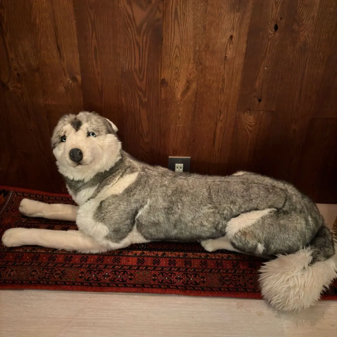 2026年最新】ぬいぐるみ JOCKLINEの人気アイテム - メルカリ