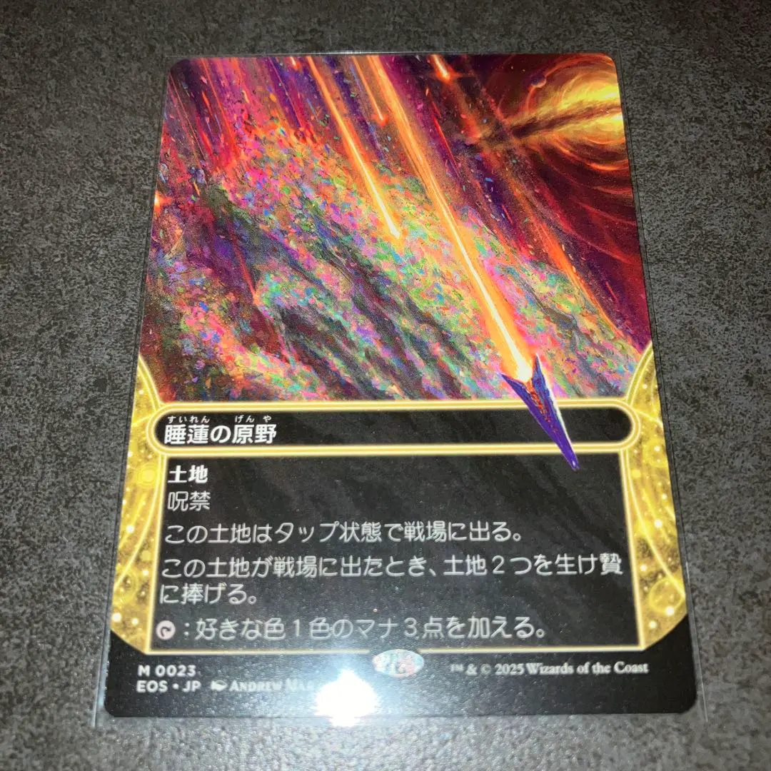 2026年最新】睡蓮の原野の人気アイテム - メルカリ