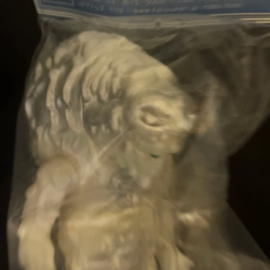 2026年最新】怪獣軒の人気アイテム - メルカリ