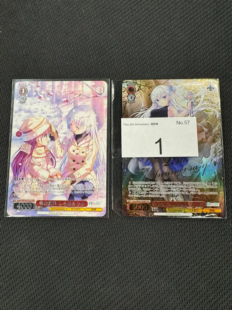 2026年最新】CXチャレンジ 優勝の人気アイテム - メルカリ