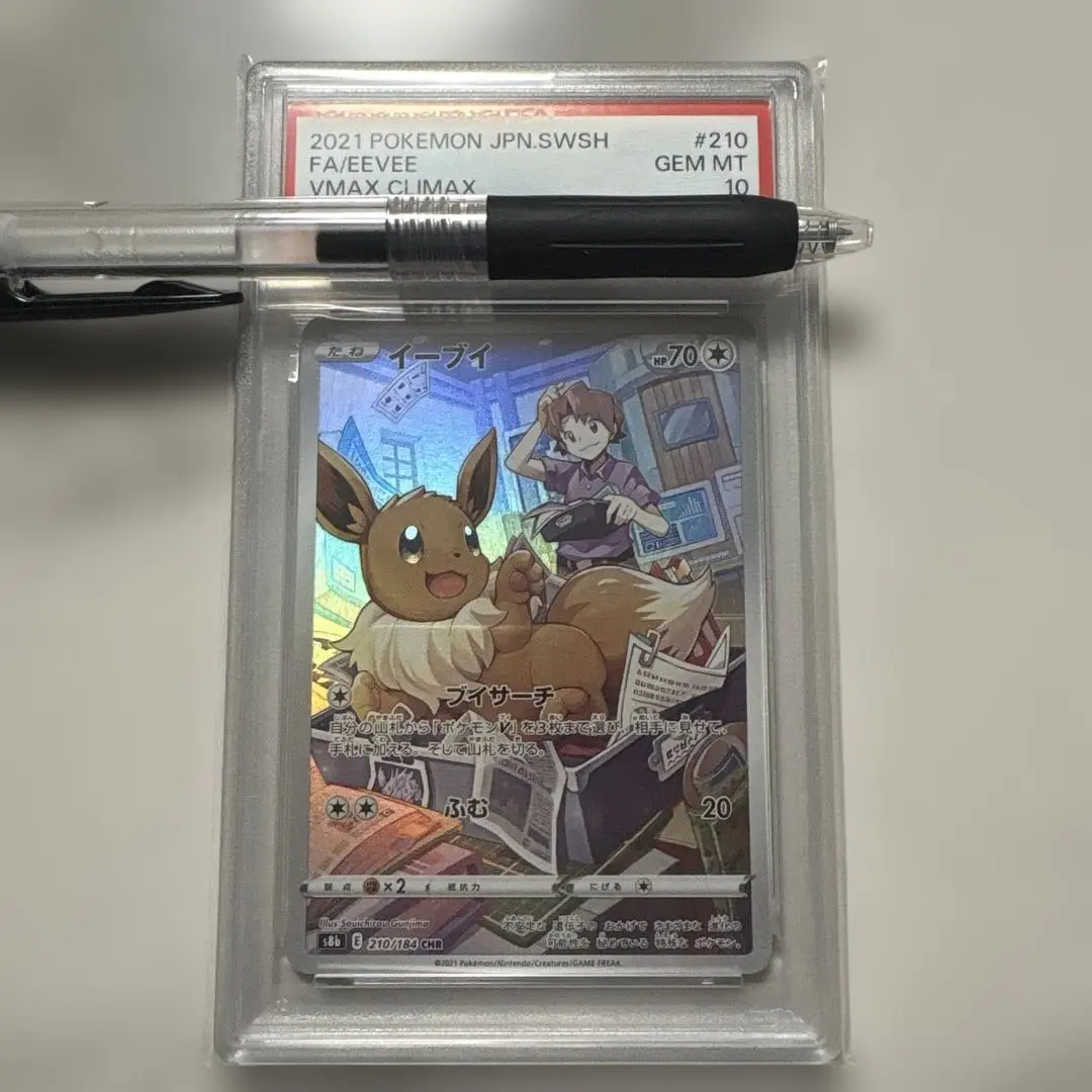 m76123611694_1.jpg?1770529545