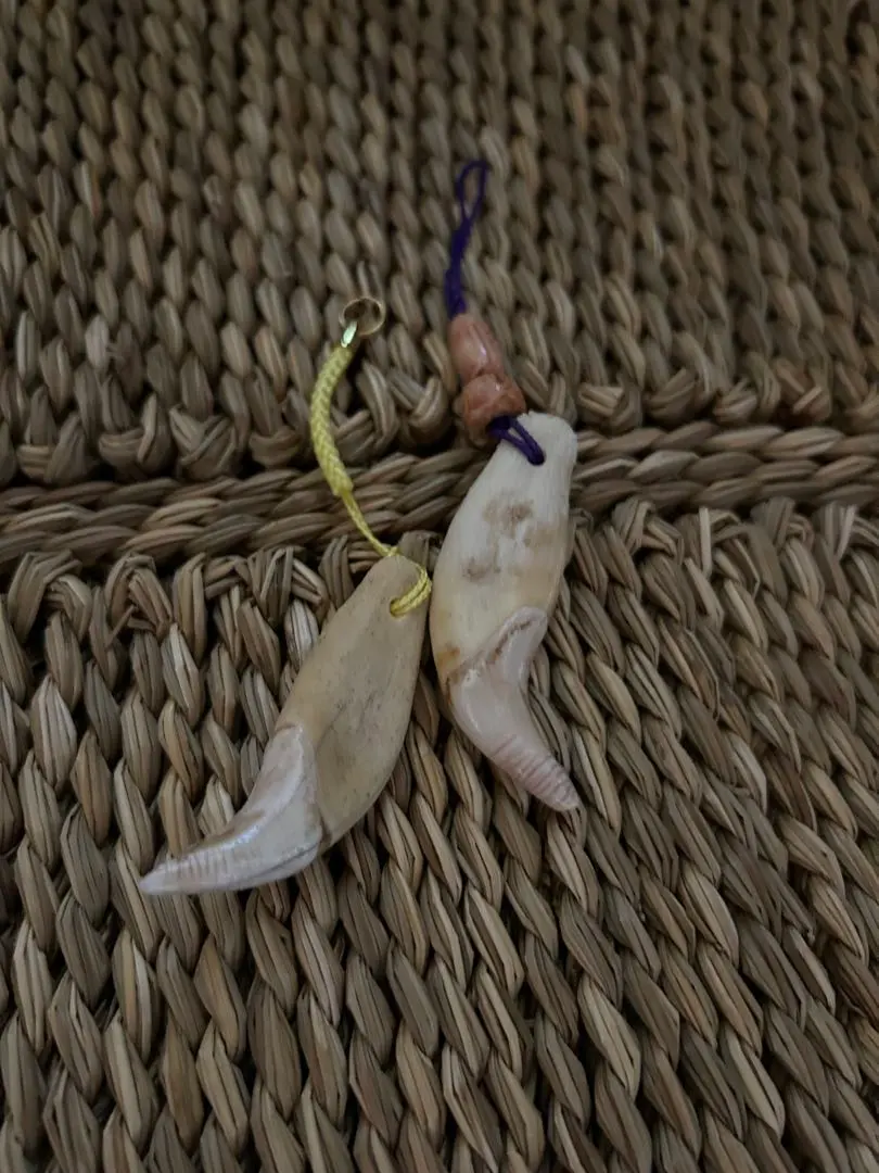 2026年最新】ツキノワグマの牙の人気アイテム - メルカリ