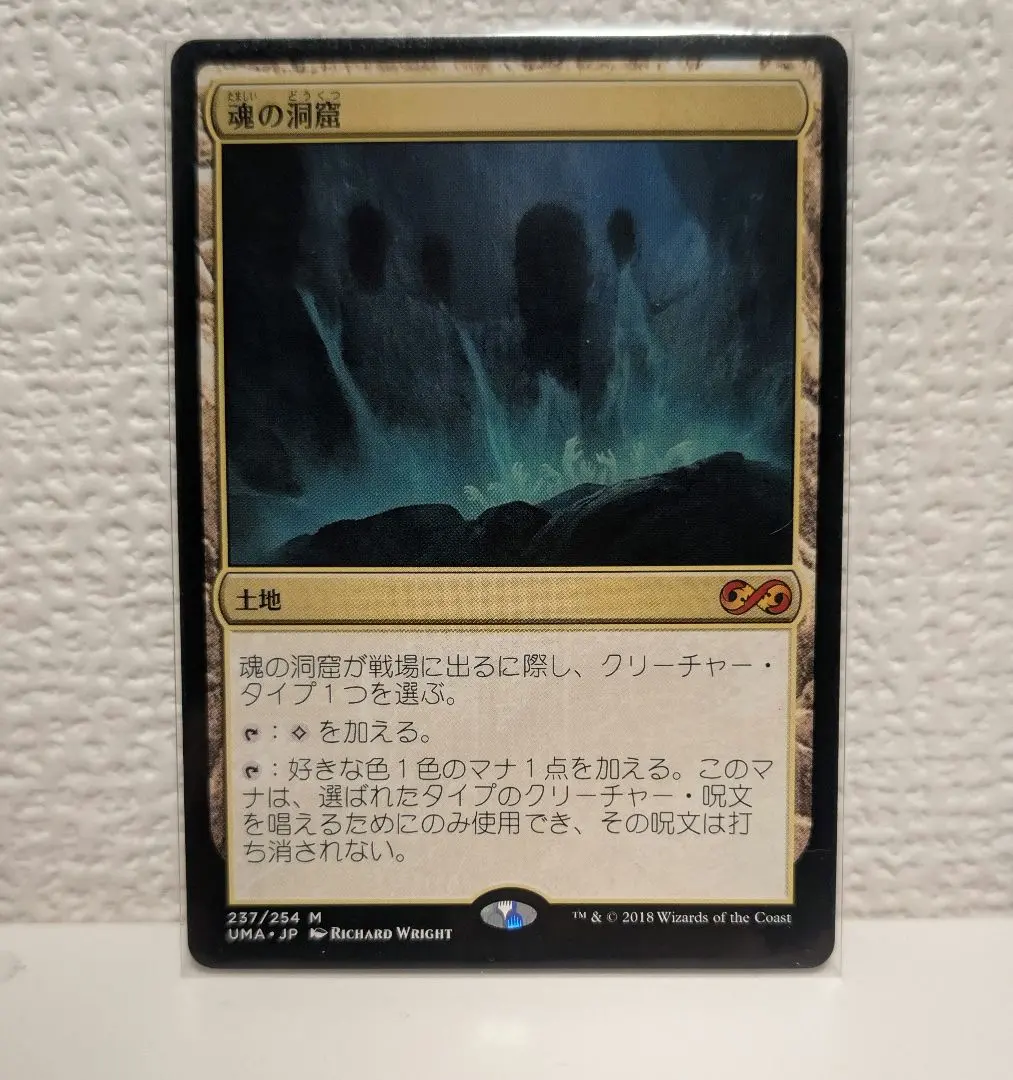 m78919773336_1.jpg?1769778160