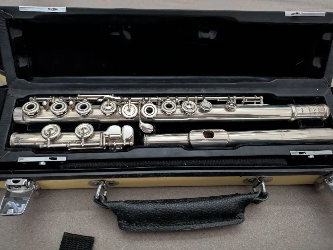 2026年最新】ミヤザワ フルートの人気アイテム - メルカリ