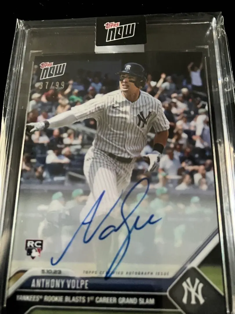 2026年最新】アンソニー・ボルピの人気アイテム - メルカリ