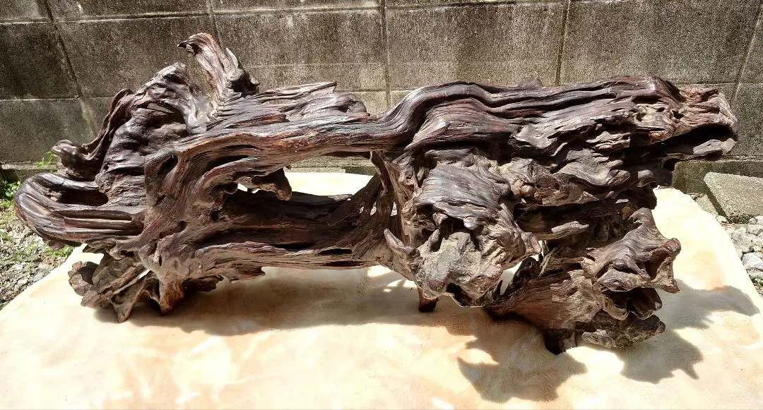 2026年最新】瘤木の人気アイテム - メルカリ