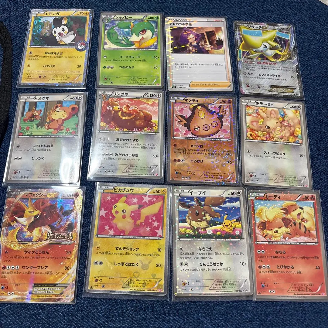 m79246584337_1.jpg?1771947408