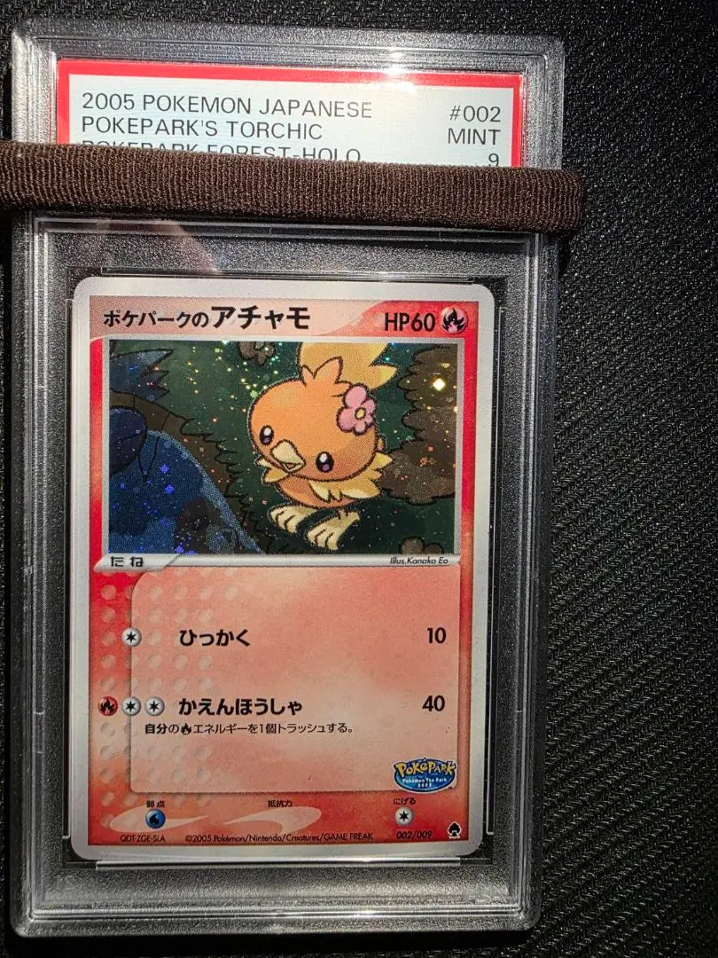 2026年最新】アチャモ psa10の人気アイテム - メルカリ