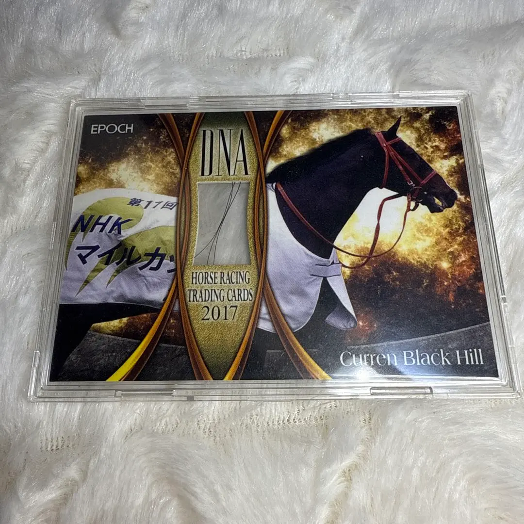 2026年最新】ホースレーシング dnaの人気アイテム - メルカリ