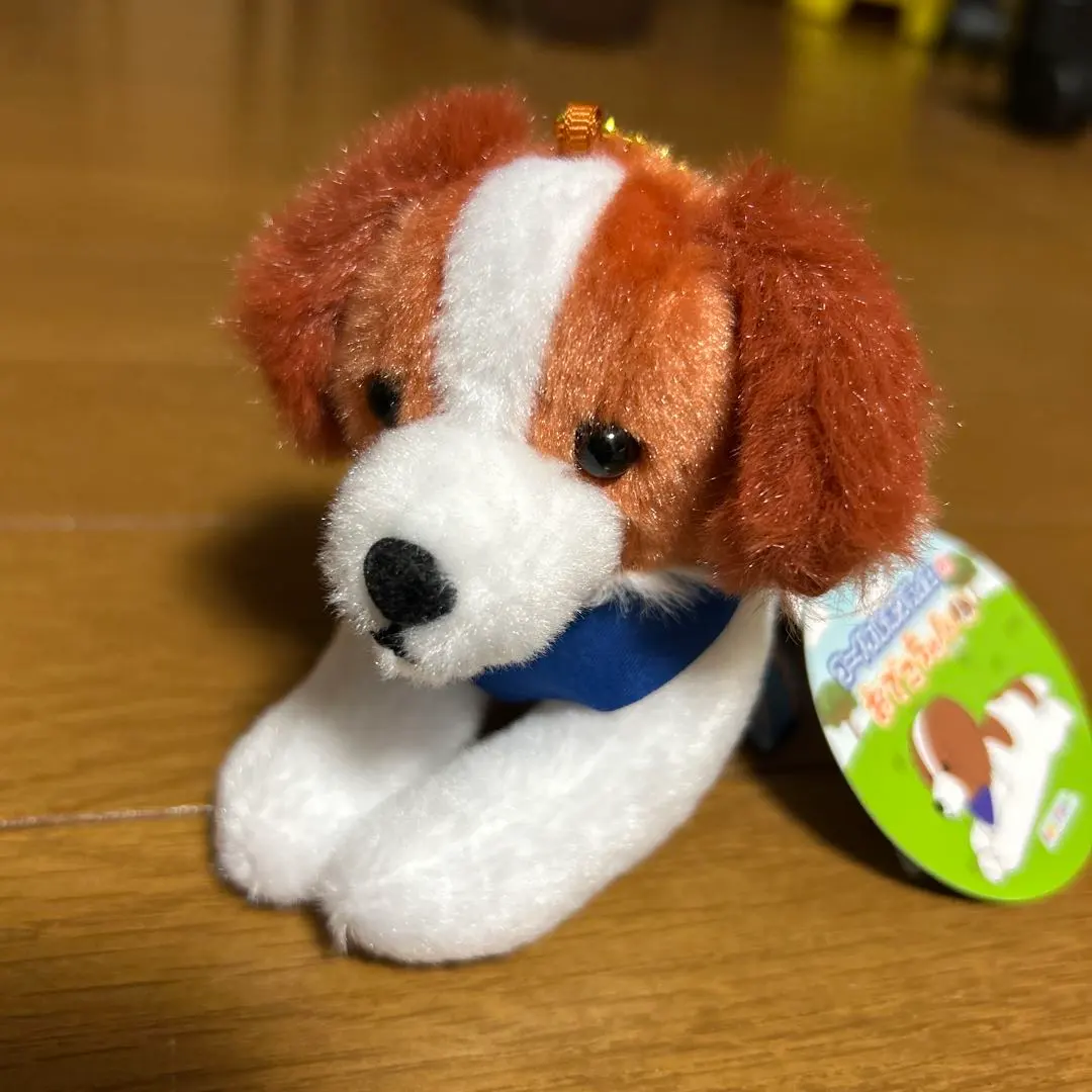 2026年最新】コーイケルホンディエのおでこちゃんの人気アイテム