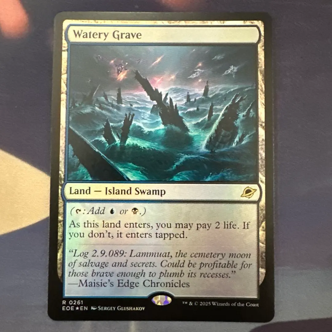 2026年最新】湿った墓 Foilの人気アイテム - メルカリ