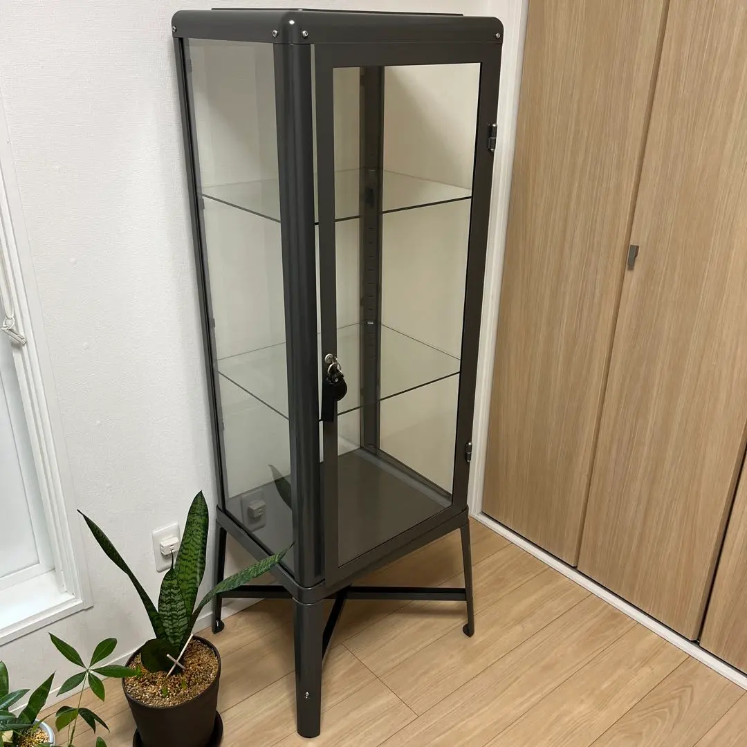 2026年最新】IKEA ガラスケース・ディスプレイケースの人気アイテム