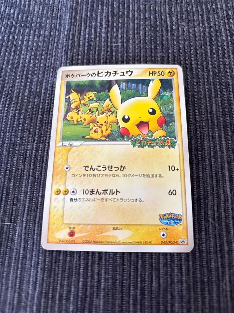 m81923248946_1.jpg?1771133867