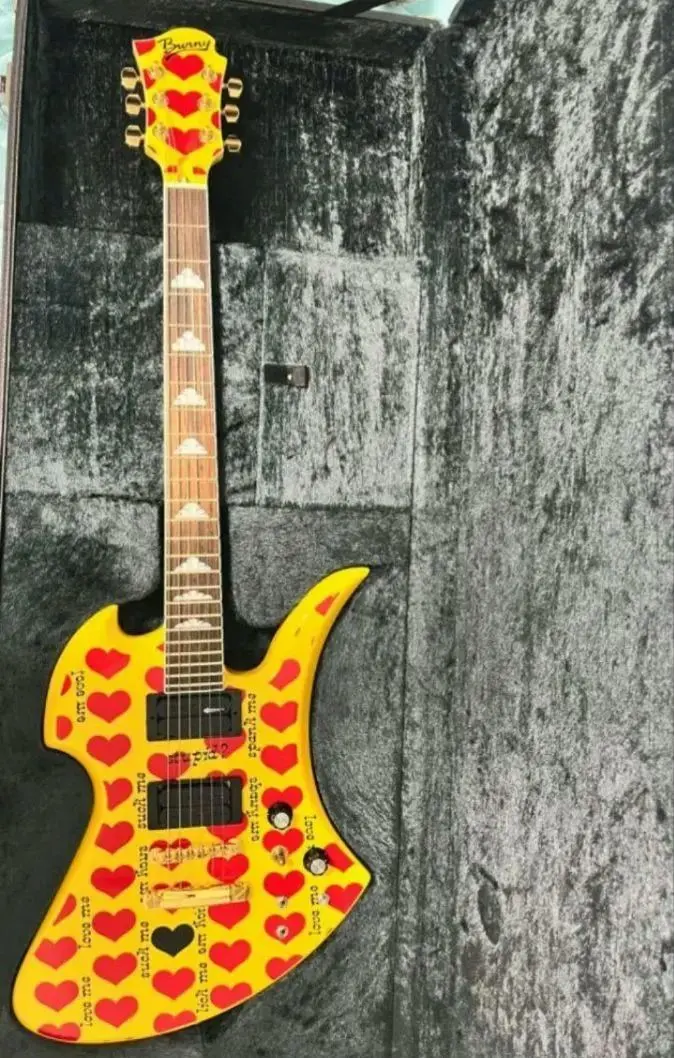 2026年最新】fernandes mg ハードケースの人気アイテム - メルカリ