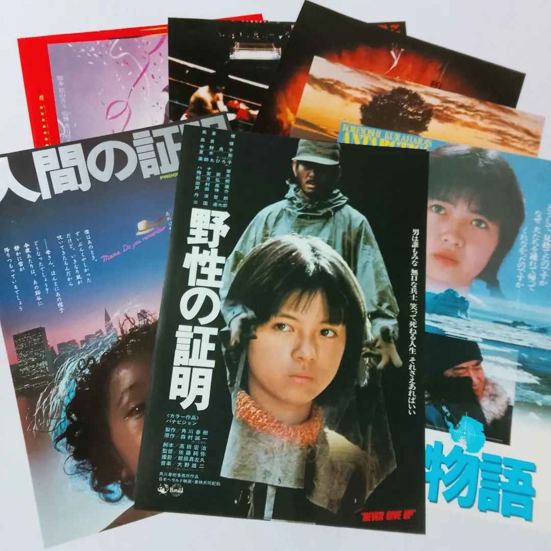 2026年最新】野生の証明パンフレットの人気アイテム - メルカリ