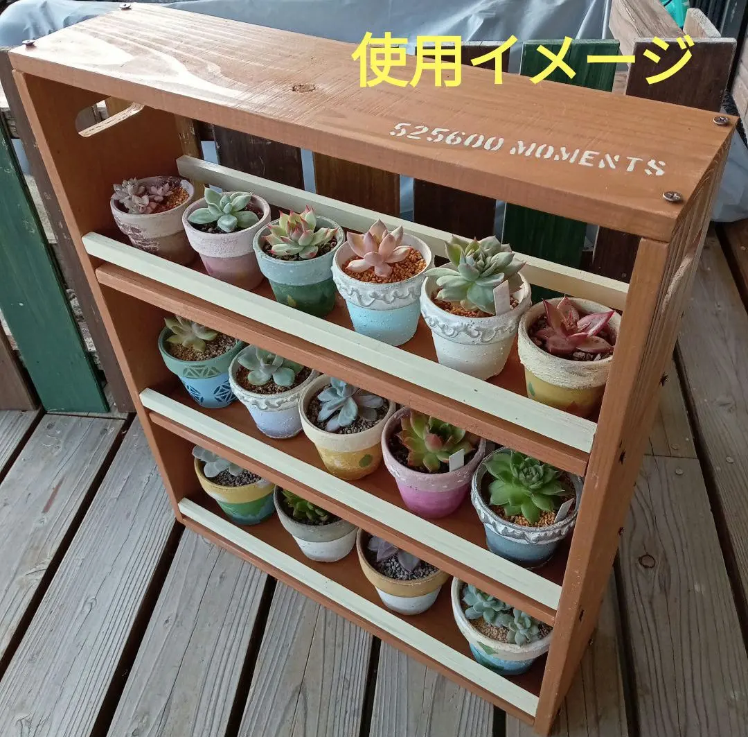 2026年最新】多肉棚 屋根の人気アイテム - メルカリ