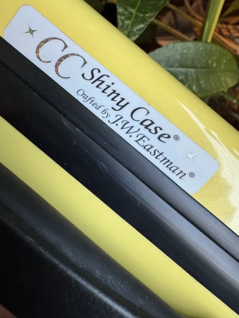 2026年最新】フルート ケース ccシャイニーの人気アイテム - メルカリ