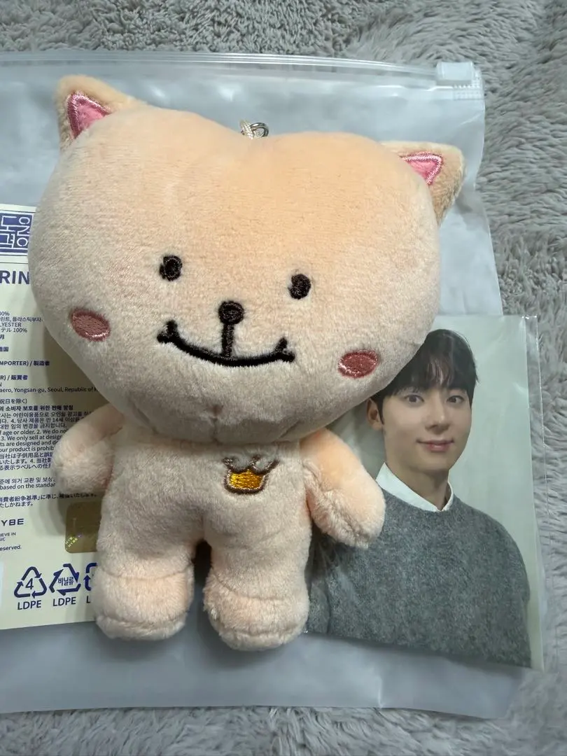 2026年最新】ファンミニョン ぬいぐるみの人気アイテム - メルカリ