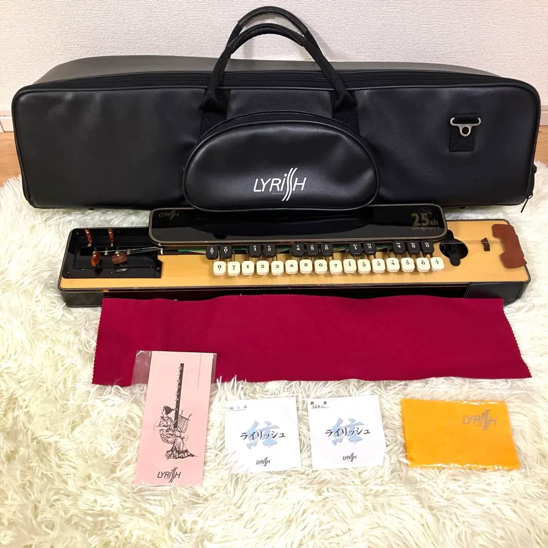 2026年最新】大正琴 ライリッシュの人気アイテム - メルカリ