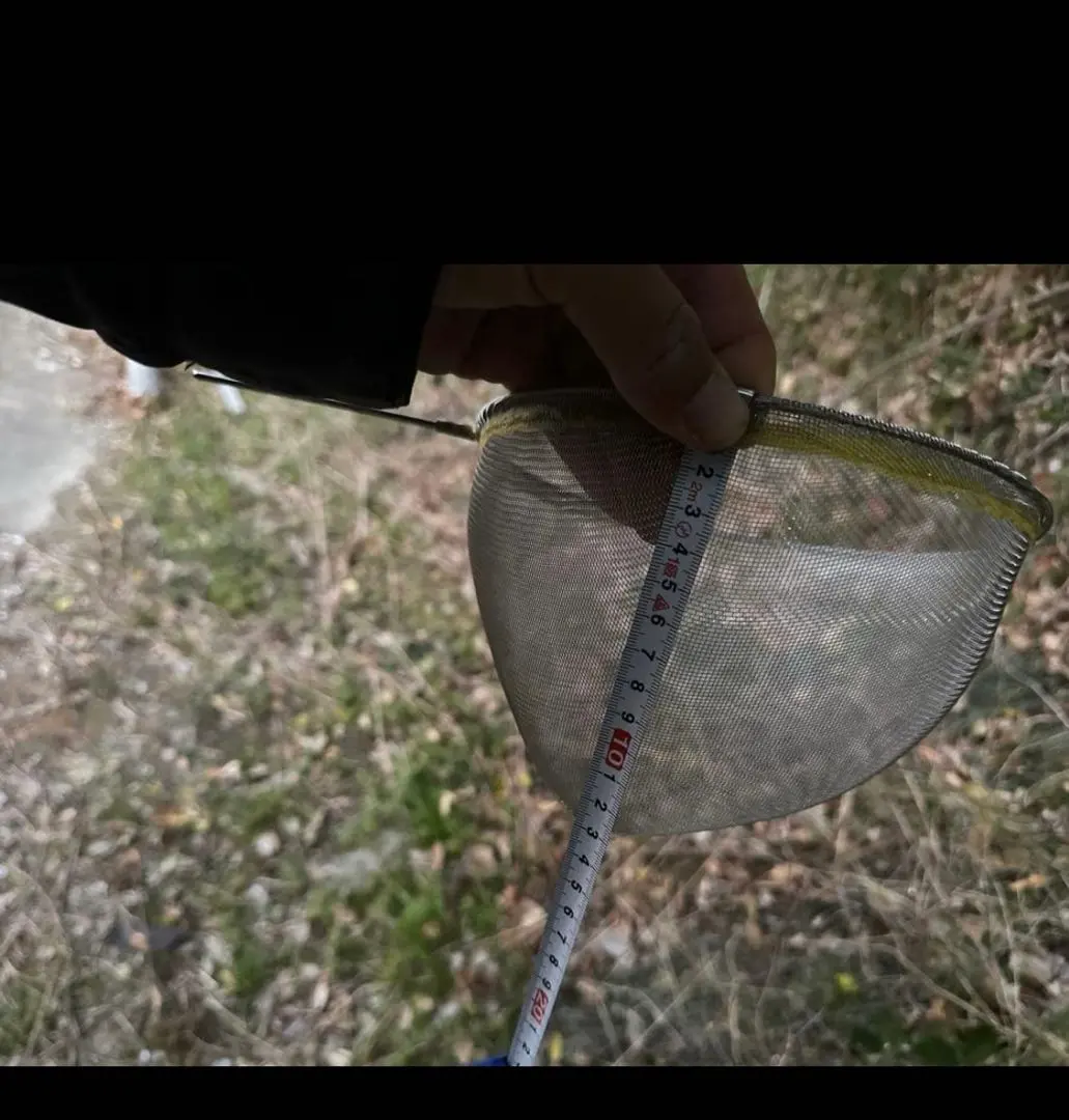 2026年最新】シラスウナギ 網の人気アイテム - メルカリ