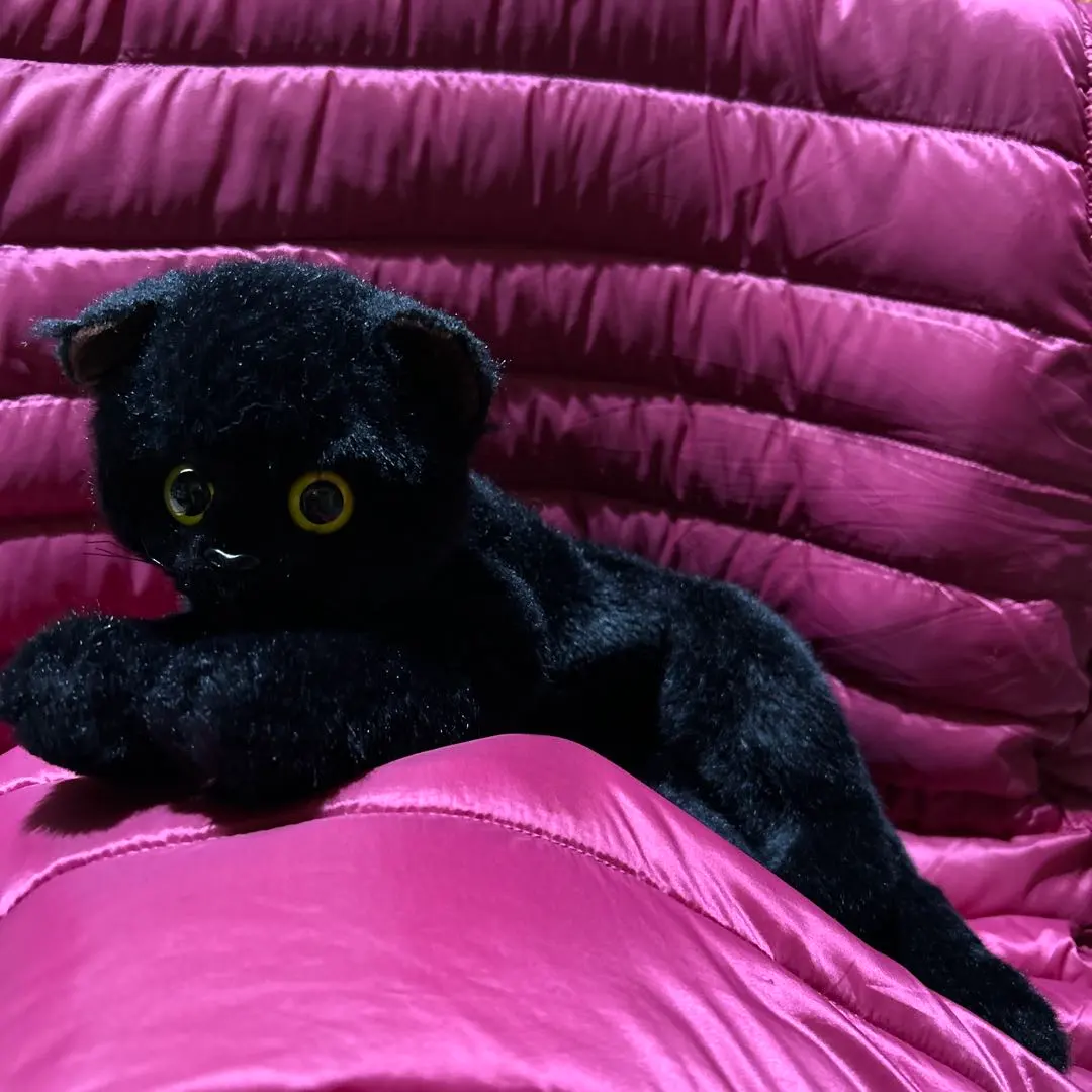 2026年最新】童心 ぬいぐるみ 猫の人気アイテム - メルカリ