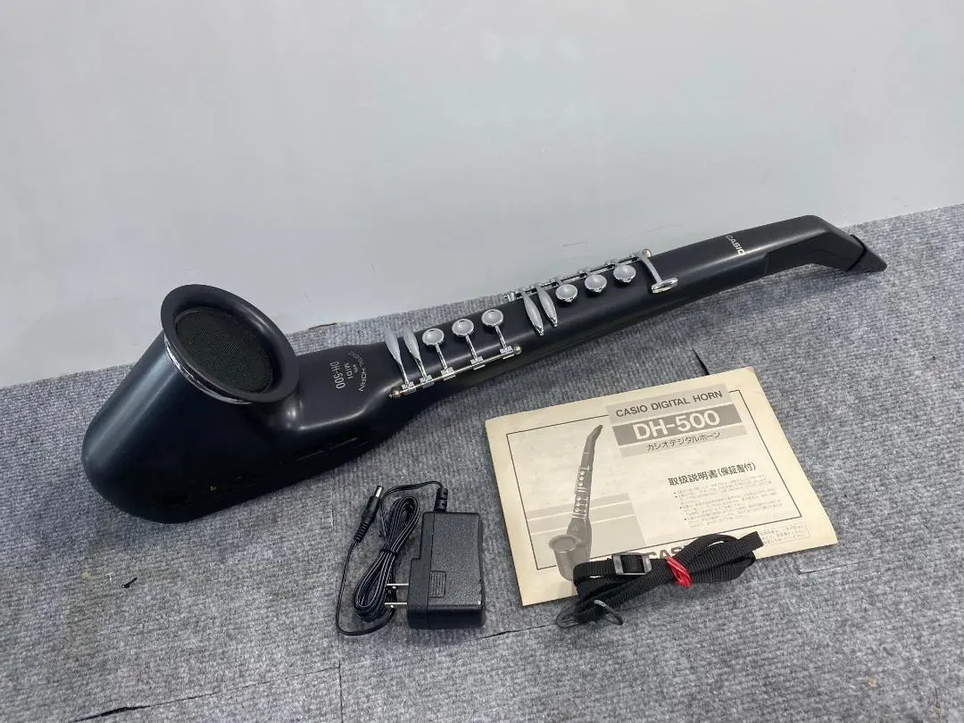 2026年最新】DH-500 CASIOの人気アイテム - メルカリ